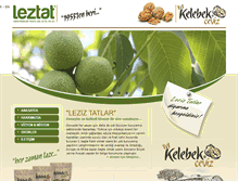 Tablet Screenshot of leztat.com
